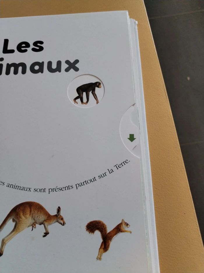 Explore les animaux 78 - photo numéro 8