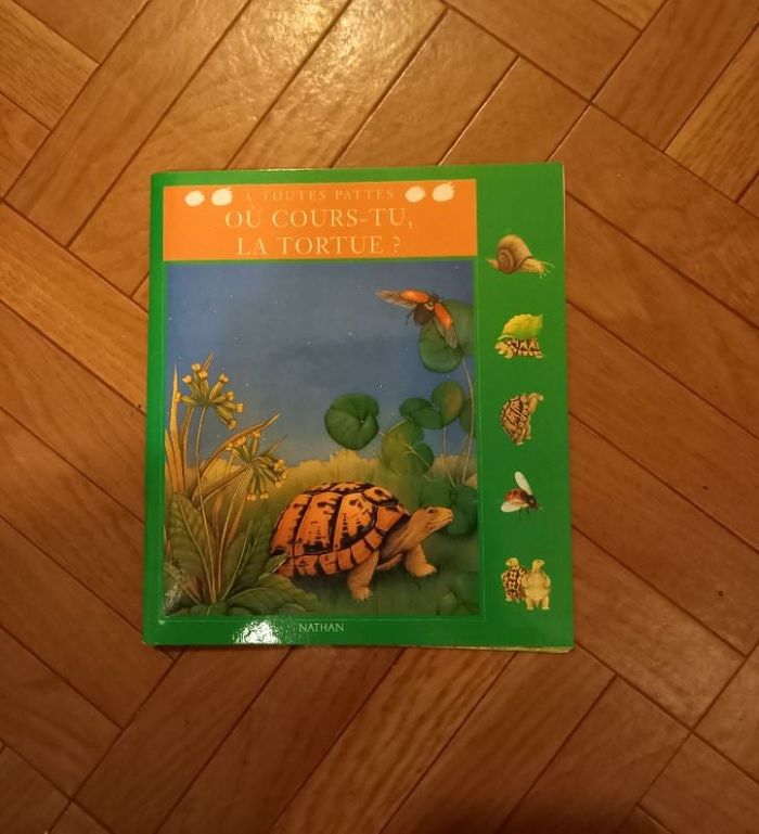 Où cours tu la tortue ? 🐢