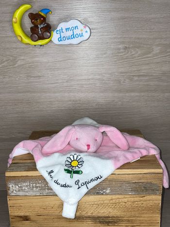 RGI19 doudou lapin 🐰 Han