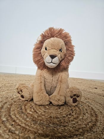Louis Lion Smart Sensor