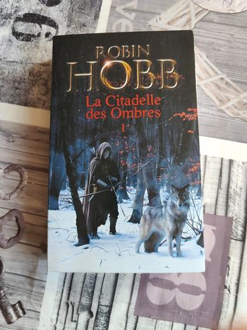 La citadelle des ombres tome  1