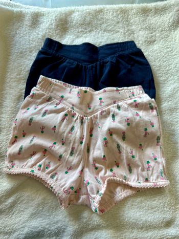 Lot 2 shorts