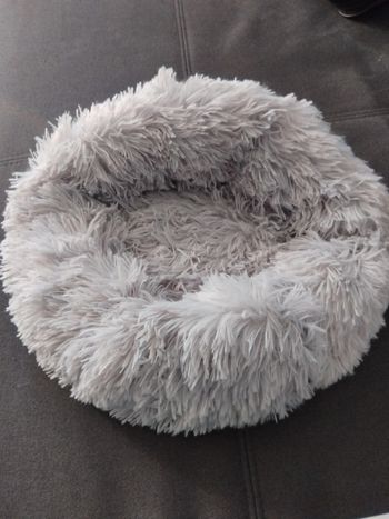 Lit douillet pour chat