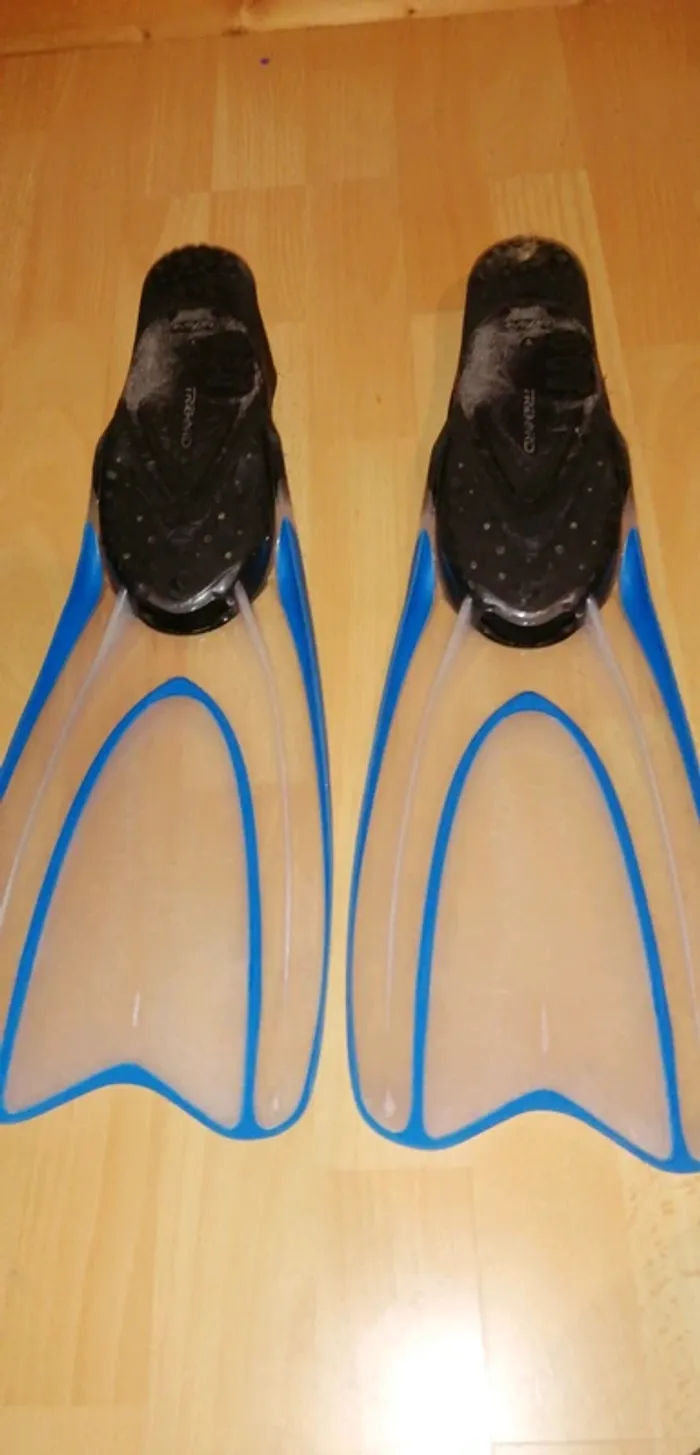 palme bleu - photo numéro 2