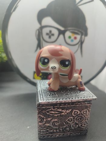 Lps01174 Littlest Petshop Pet Shop LPS Authentic Dog dachshung Teckel Chien 2035