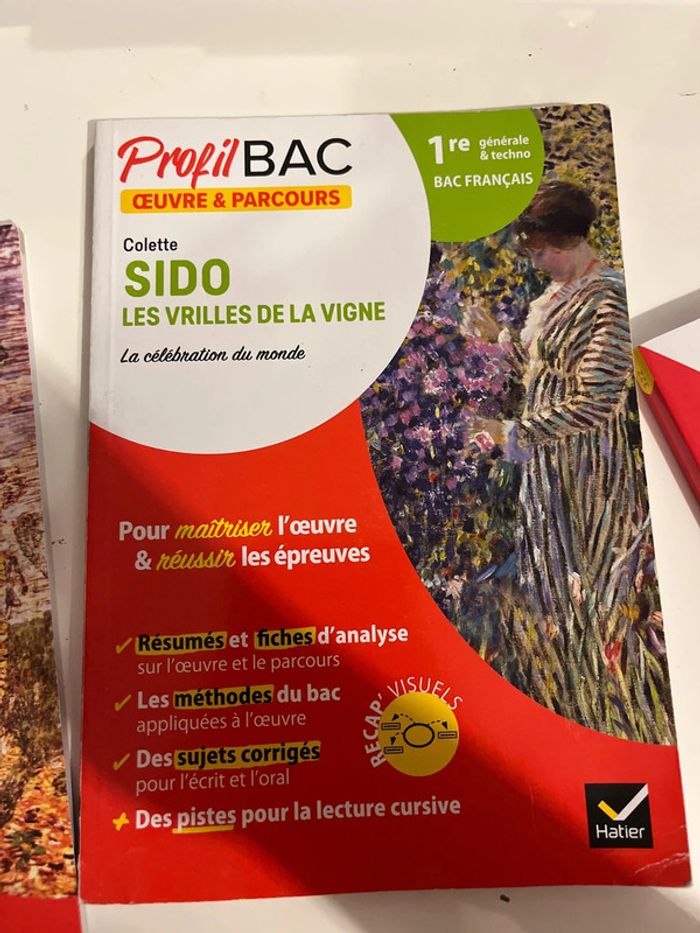 Profil bac - photo numéro 3