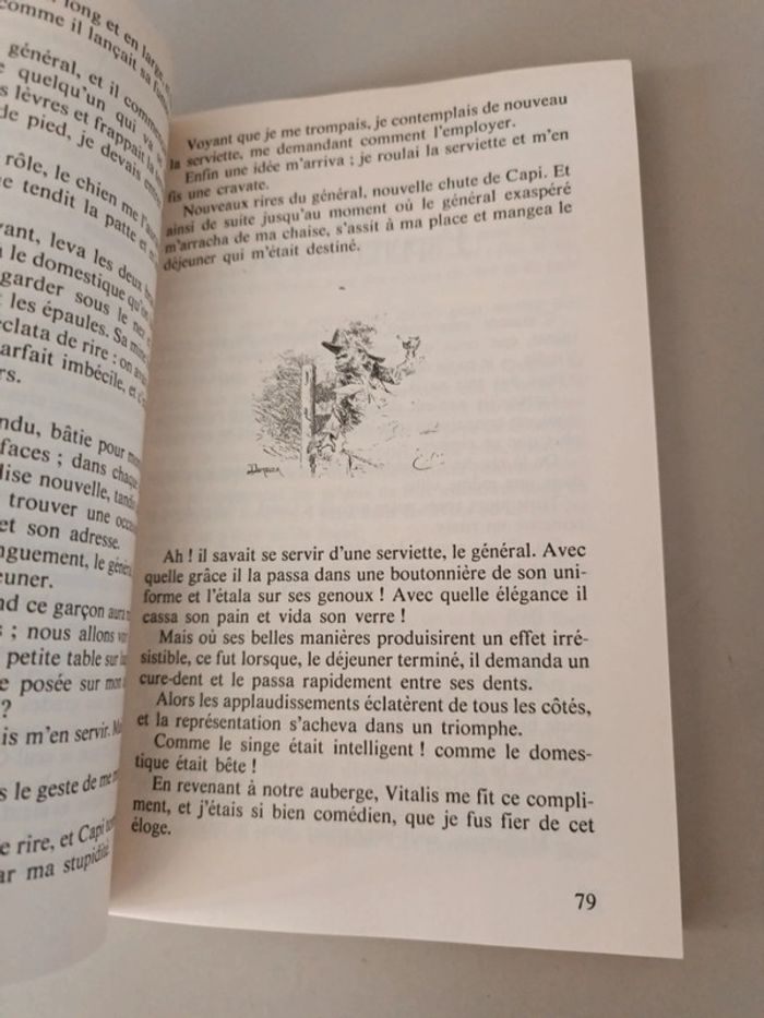 Sans famille première partie Hector malot numéro 612 Folio junior - photo numéro 6