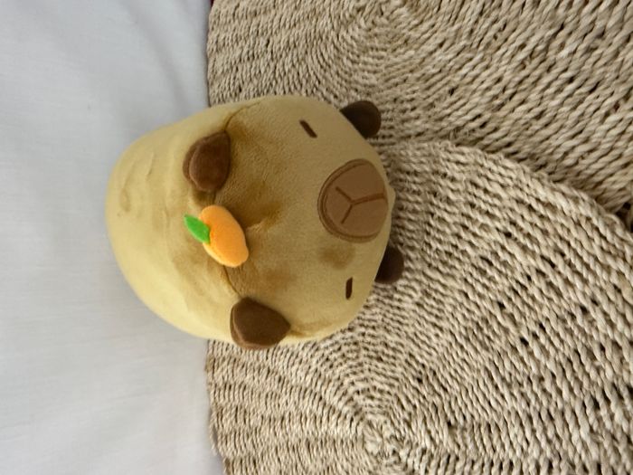 Mewaii Peluche Capybara Kawaii - photo numéro 2
