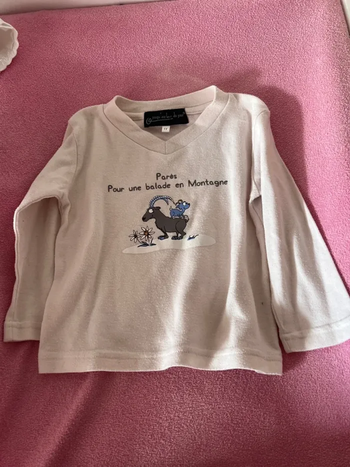 Lot de 11 tshirts manches longues - photo numéro 6