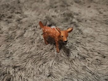 Figurine faon de virginie