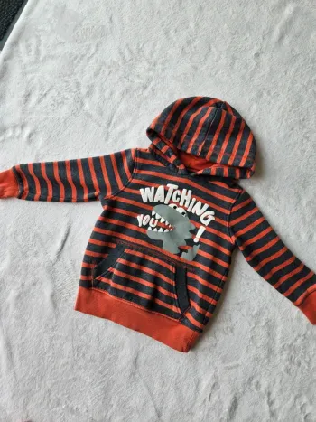 Sweat à capuche dinosaure 3 ans