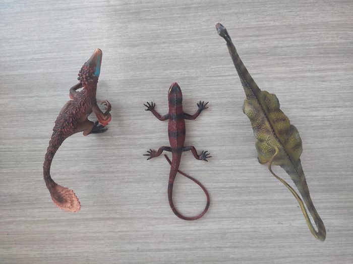 Dinosaures - photo numéro 9