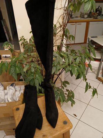 Jolie botte cuissarde