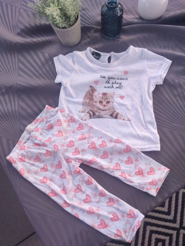 Ensemble Tee shirt chat/legging 🐈