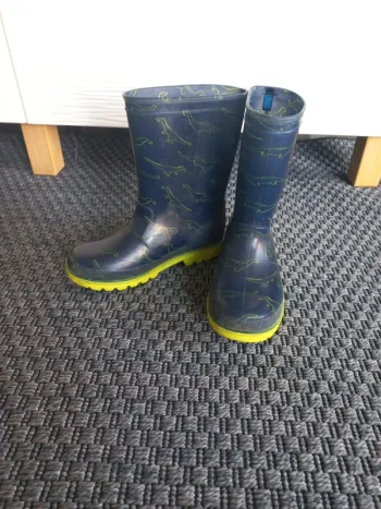 Bottes de pluie dinosaures
