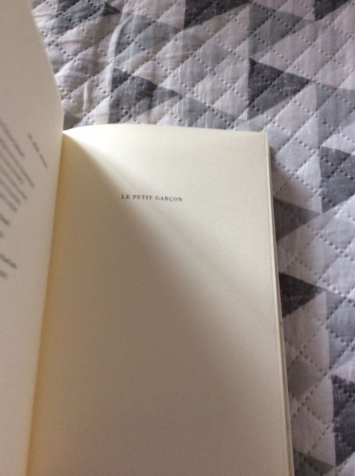 #le petit garçon de Philippe Labro - photo numéro 5