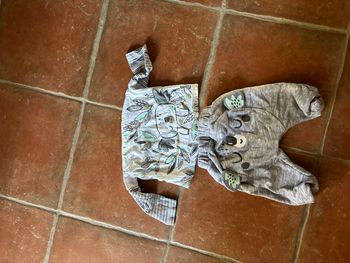 Ensemble koala du pareil au même