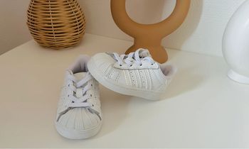 Adidas superstar pointure 19