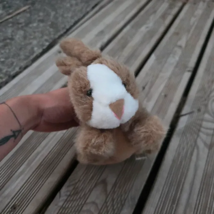 Sac peluche lapin - photo numéro 3