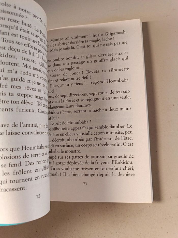 Le premier roi du monde l'épopée de Gilgamesh de Jacques cassabois - photo numéro 9