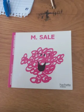 Livre monsieur madame mr Sale Mme