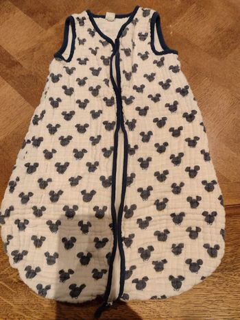Gigoteuse été Mickey Disney