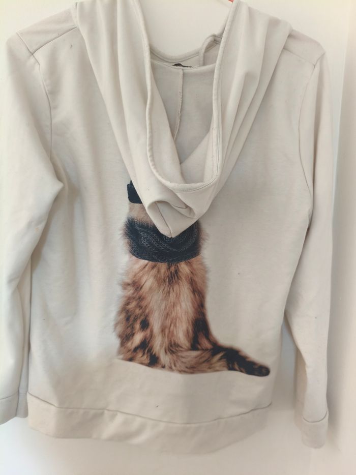 Pull a capuche - photo numéro 3