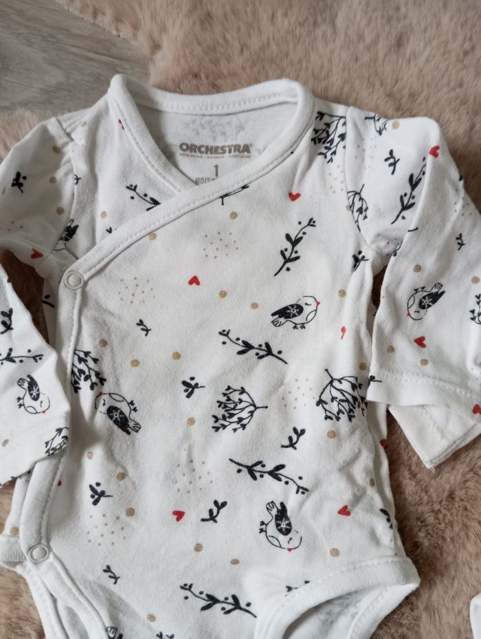 Lot bodies fêtes - photo numéro 3