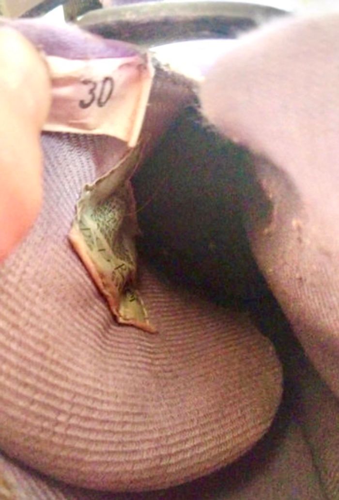 Roller - photo numéro 2