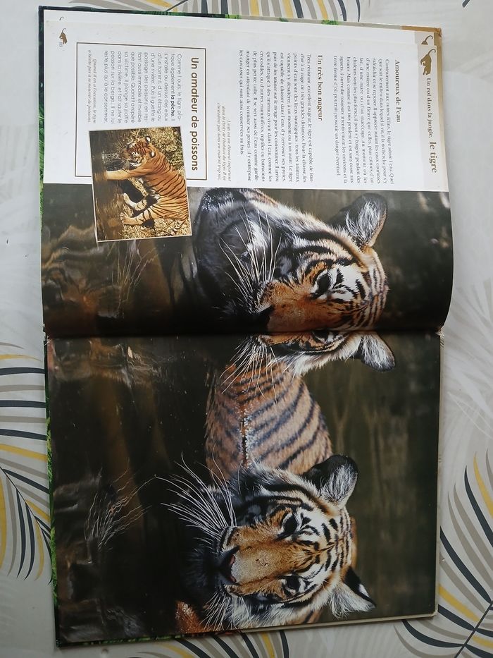 Livre Le tigre - photo numéro 3