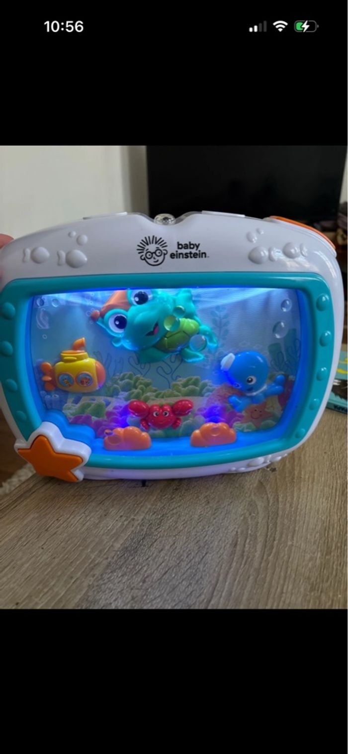 Baby Einstein - photo numéro 3