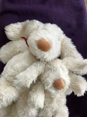 Peluches chien blanc