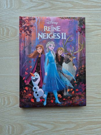 Livre La Reine des Neiges 2