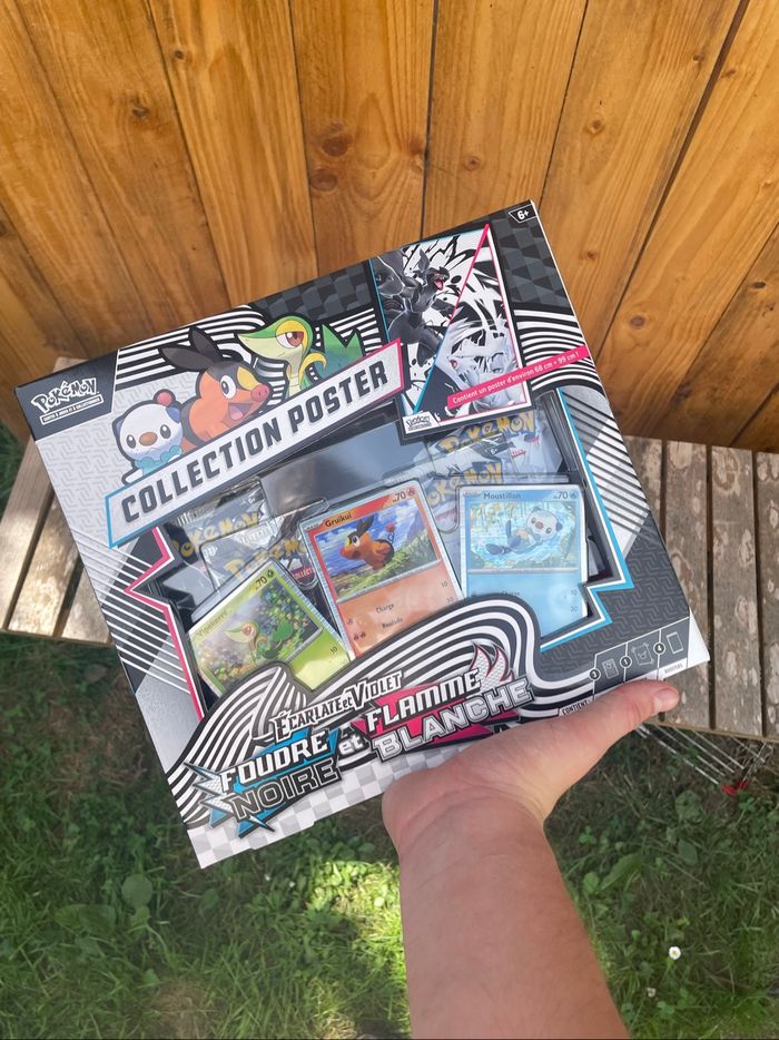 Lots Pokémon 10.5 - Coffret Poster + Mini-tin - photo numéro 7