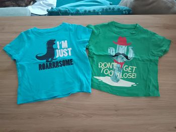 Lot de 2 t-shirt marque Pep & co 9 mois