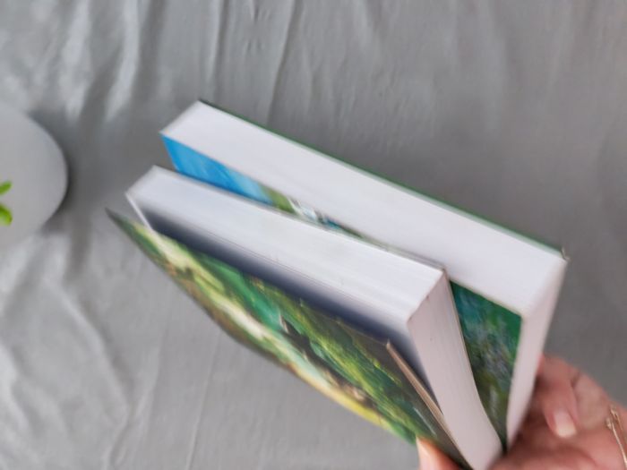 Lot de 2 livres - photo numéro 9