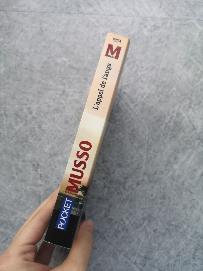 Guillaume Musso L'appel de l'ange - photo numéro 5