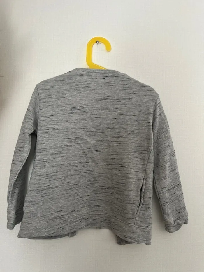 Gilet gris - photo numéro 2