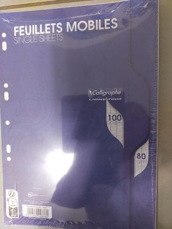 Feuillets mobiles 100 pages grands carreaux