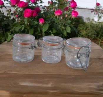 3 mini verrines conserve bocaux