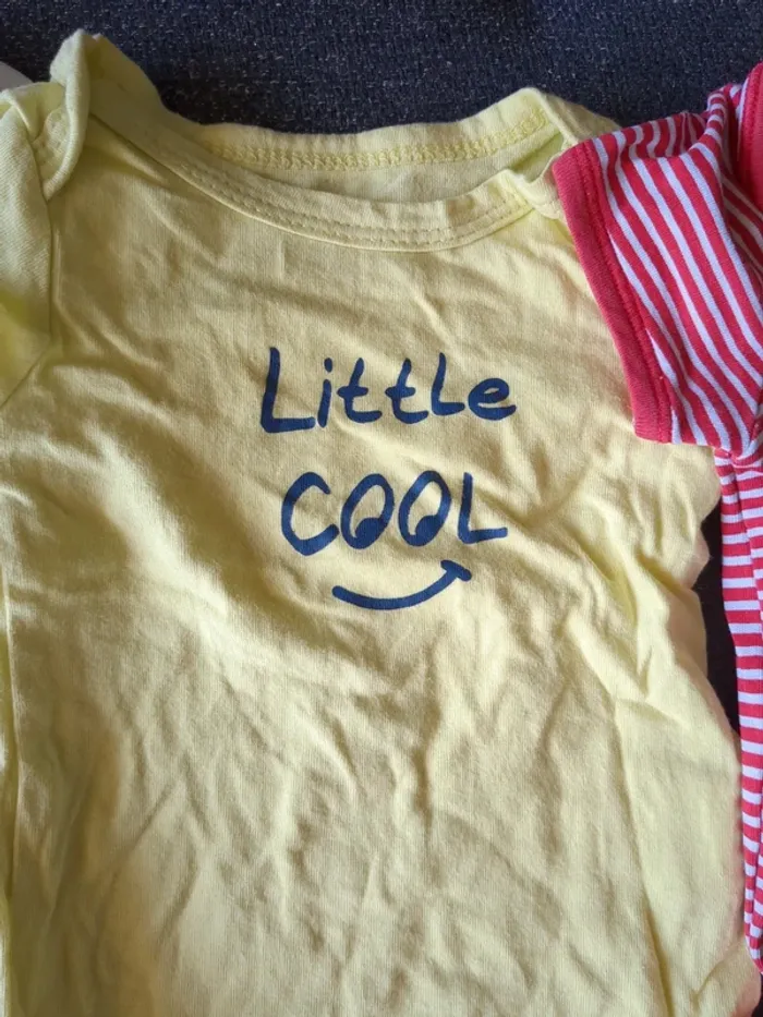 Lot de 4 bodies manches courtes 9 mois - photo numéro 4