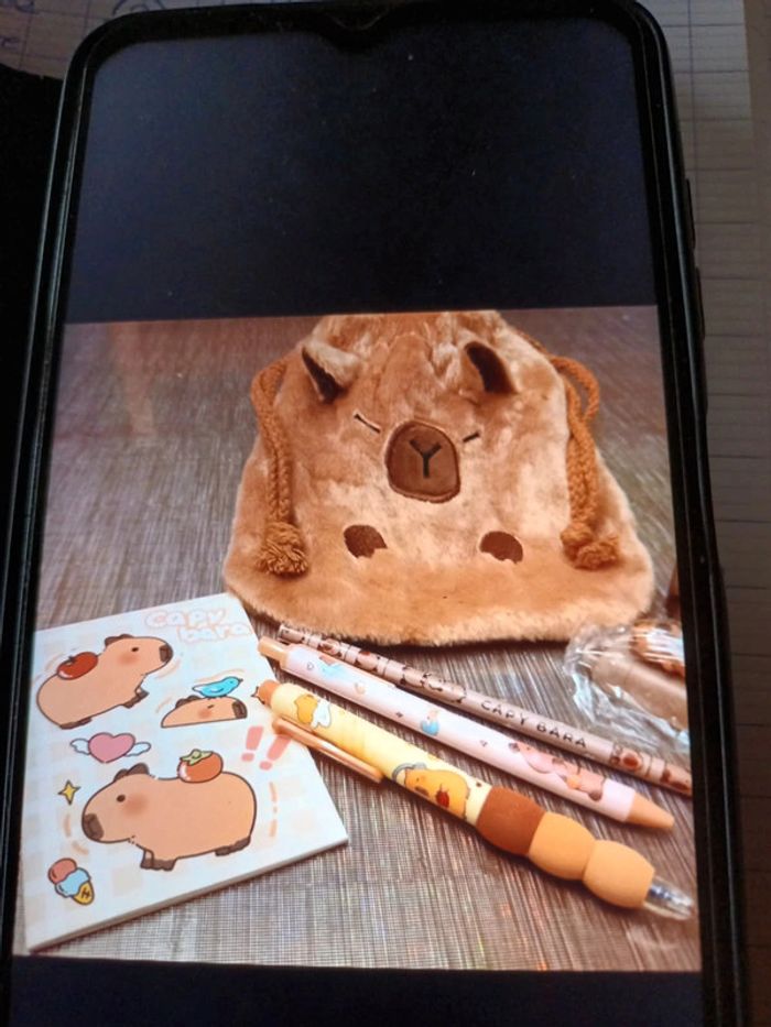 Ballotin Capybara et ses accessoires - photo numéro 2