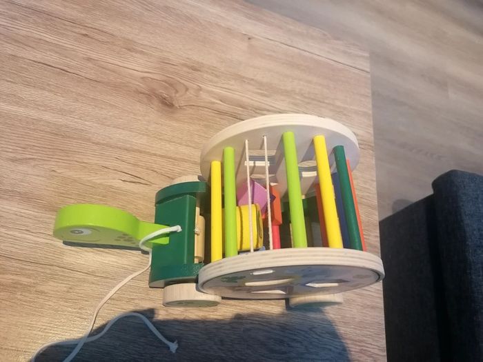 Tortue à formes - photo numéro 4