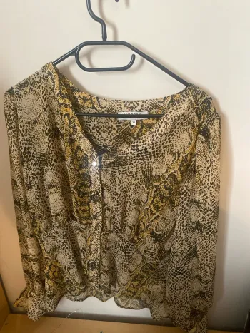 Chemisier transparente manches bouffantes