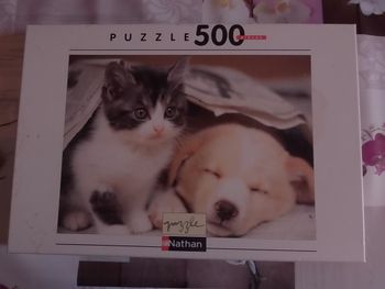 Chat et chien