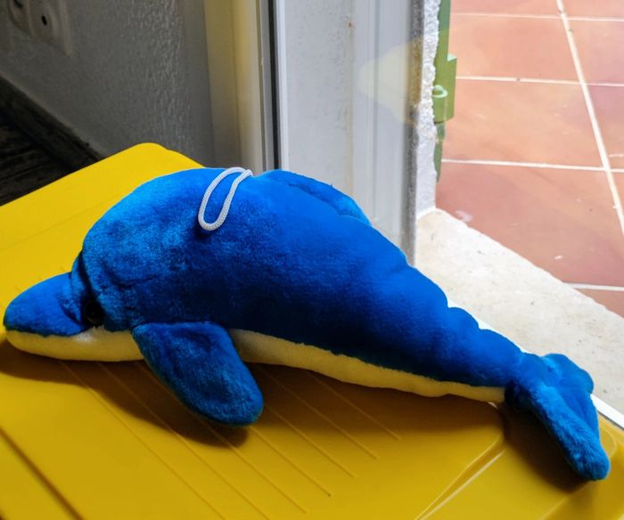Dauphin 🐬 peluche 🐬 sonore 🎶 très douce 🧸 - photo numéro 4