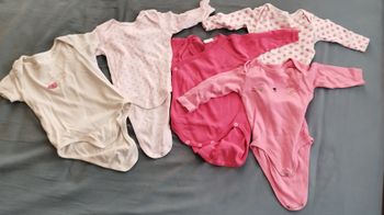 Lot 5 bodies