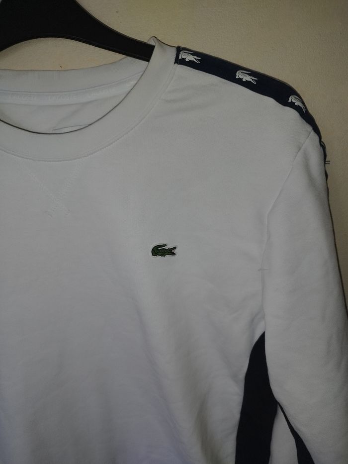 Sweat bicolore LACOSTE - photo numéro 5
