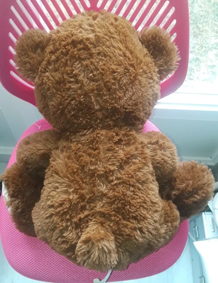 Nounours - photo numéro 5