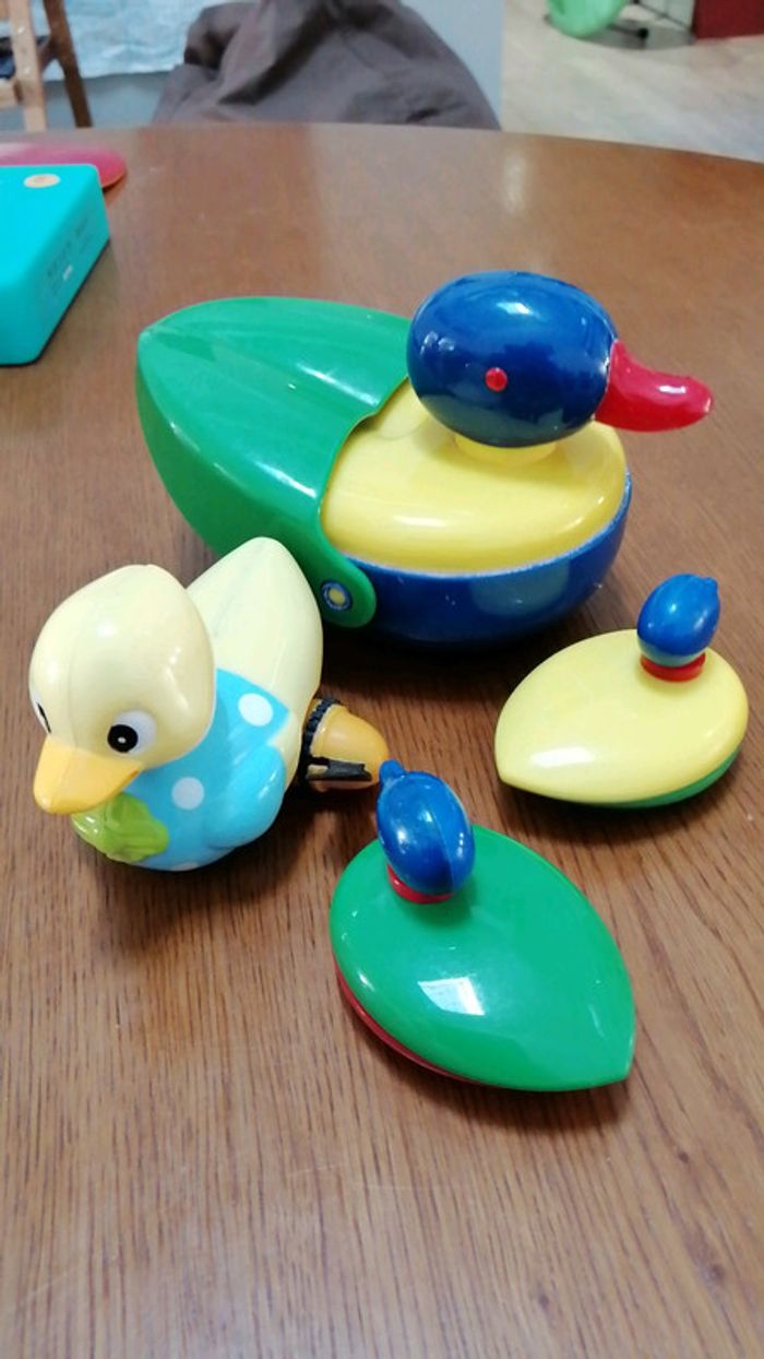 Canards flottant - photo numéro 2